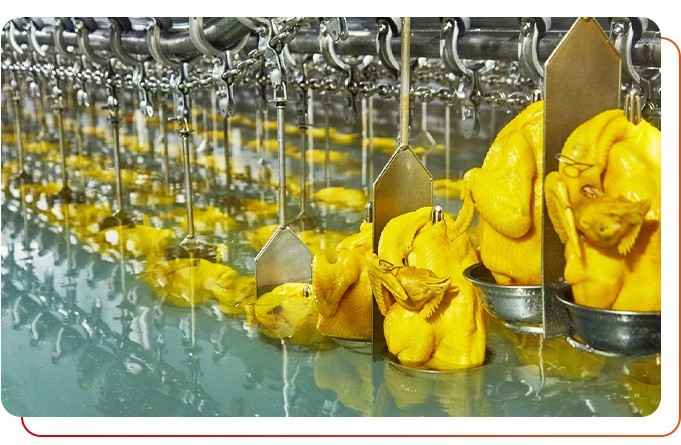 預(yù)制菜供應(yīng)商產(chǎn)品安全衛(wèi)生嗎？
