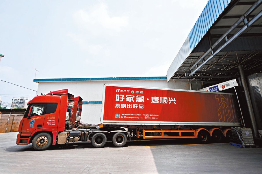 唐順興：解鎖白切雞風味，食材源頭直供批發(fā)廠家